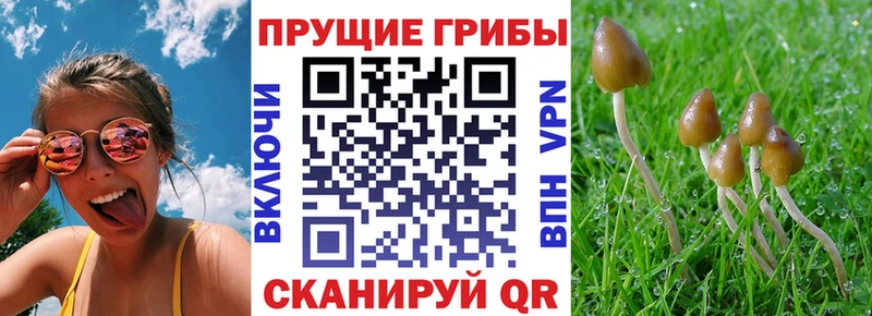 Галлюциногенные грибы Magic Shrooms  Изобильный 