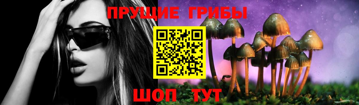 Изобильный  Псилоцибиновые грибы Psilocybe  Вход с VPN 